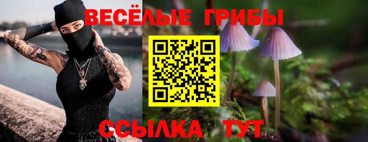 Псилоцибиновые грибы MAGIC MUSHROOMS Гусиноозёрск