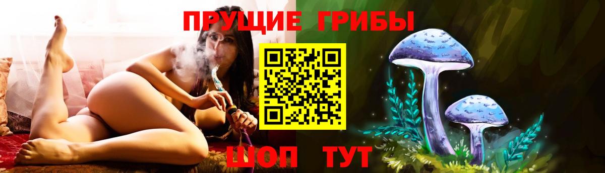 Галлюциногенные грибы Magic Shrooms  Вход с VPN  Гусиноозёрск 